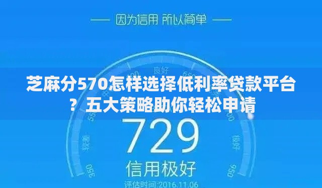 芝麻分570怎样选择低利率贷款平台？五大策略助你轻松申请