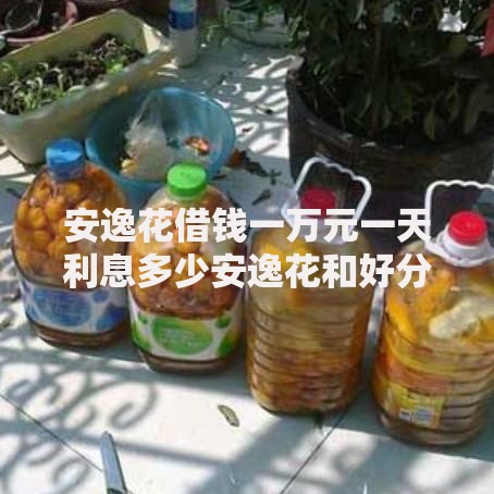 安逸花借钱一万元一天利息多少安逸花和好分期哪个好？利息对比解析