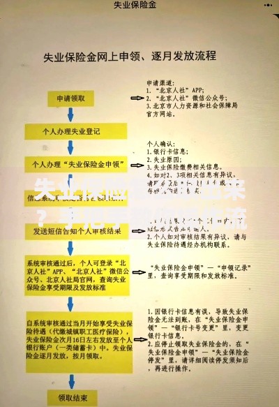 失业保险怎么取出来？手把手教你操作流程与避坑指南