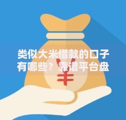 类似大米借款的口子有哪些？靠谱平台盘点与申请攻略