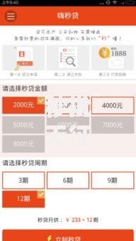 秒批无征信小额贷款：正规平台申请流程解析