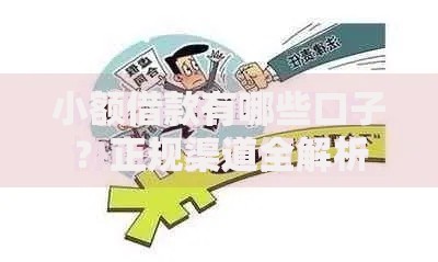 小额借款有哪些口子？正规渠道全解析
