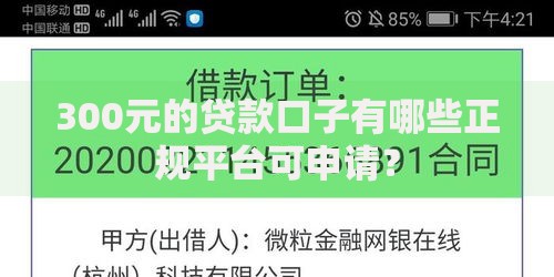 300元的贷款口子有哪些正规平台可申请？