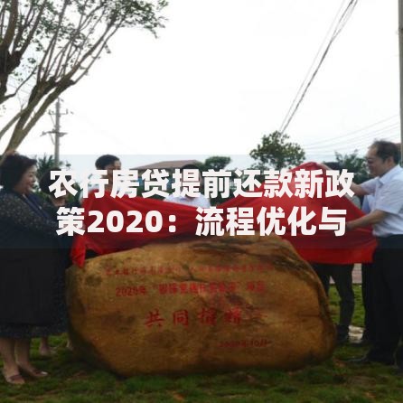 为何id贷口子声称必下款？背后有何玄机？揭露虚假宣传与金融陷阱