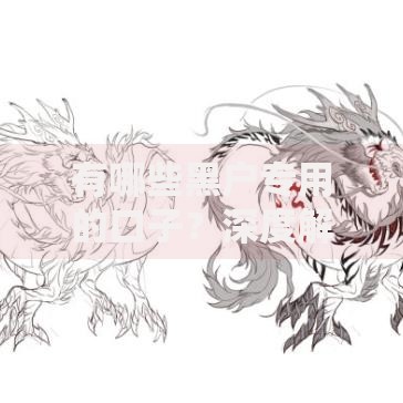 有哪些黑户专用的口子？深度解析隐藏贷款渠道