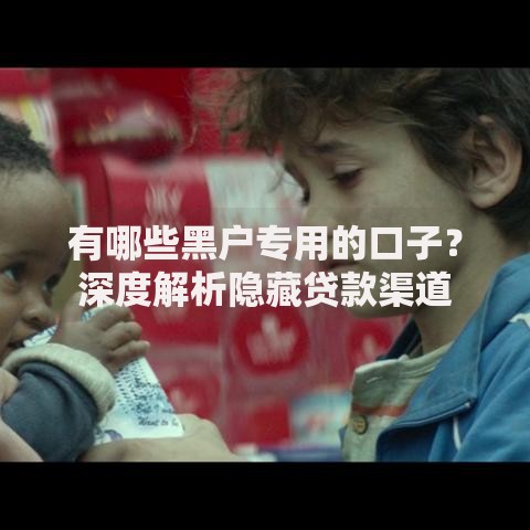 有哪些黑户专用的口子？深度解析隐藏贷款渠道