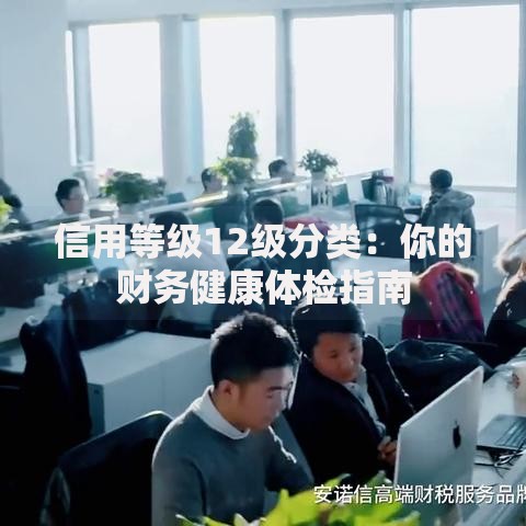 信用等级12级分类：你的财务健康体检指南