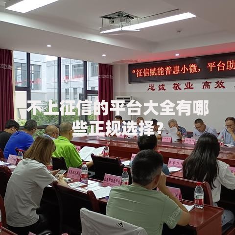 不上征信的平台大全有哪些正规选择？