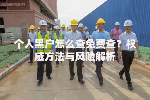 个人黑户怎么查免费查？权威方法与风险解析