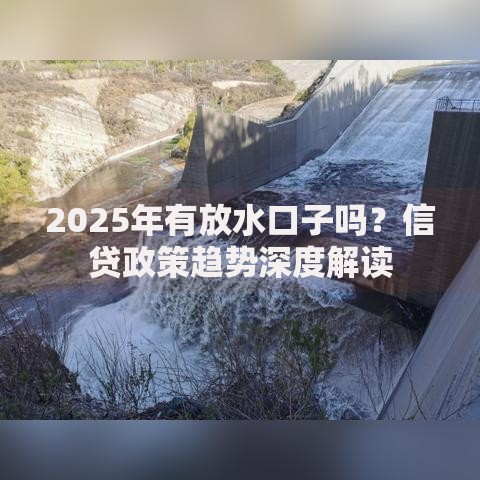 2025年有放水口子吗？信贷政策趋势深度解读