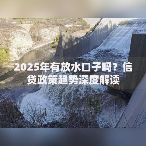 2025年有放水口子吗？信贷政策趋势深度解读