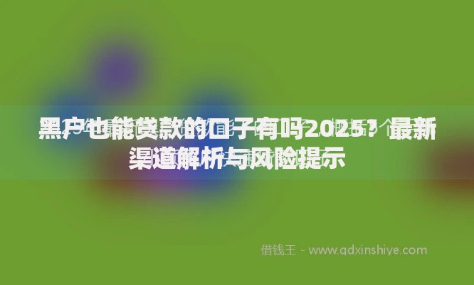 黑户也能贷款的口子有吗2025？最新渠道解析与风险提示