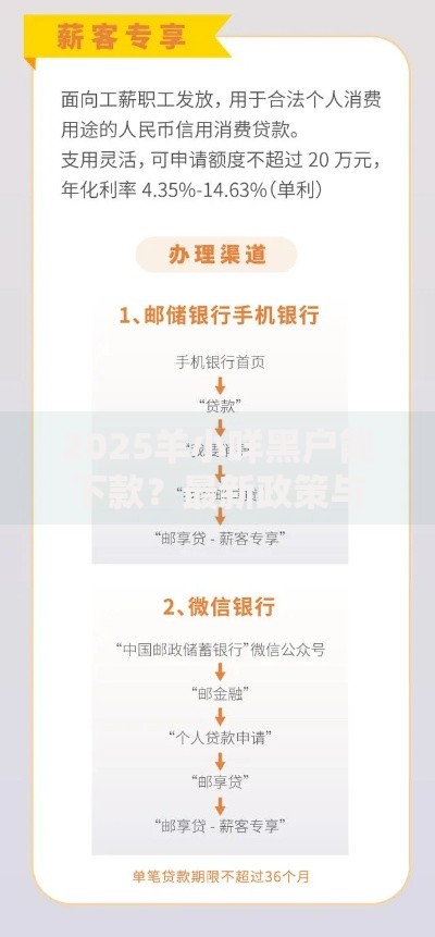 2025羊小咩黑户能下款？最新政策与申请攻略解析