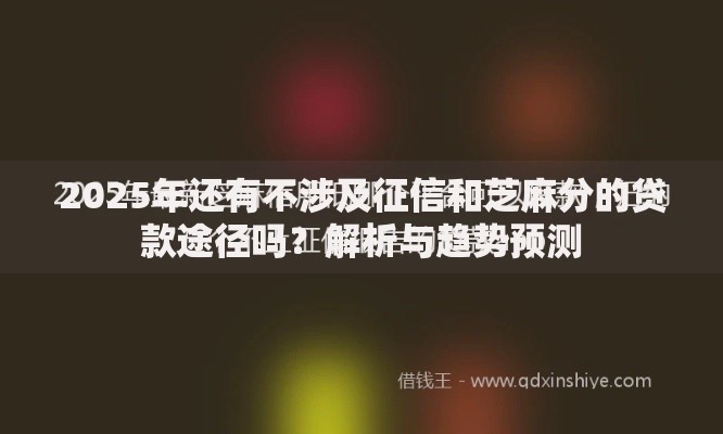 2025年还有不涉及征信和芝麻分的贷款途径吗？解析与趋势预测