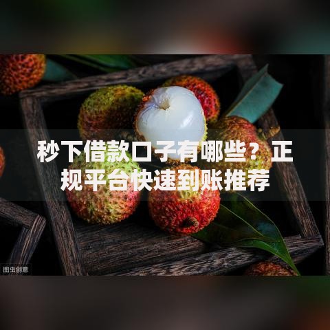 秒下借款口子有哪些？正规平台快速到账推荐