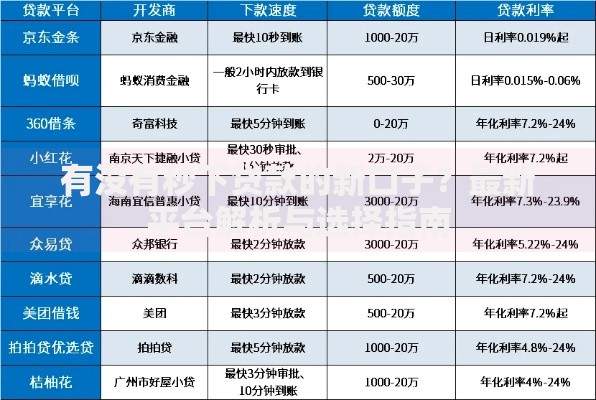 有没有秒下贷款的新口子？最新平台解析与选择指南