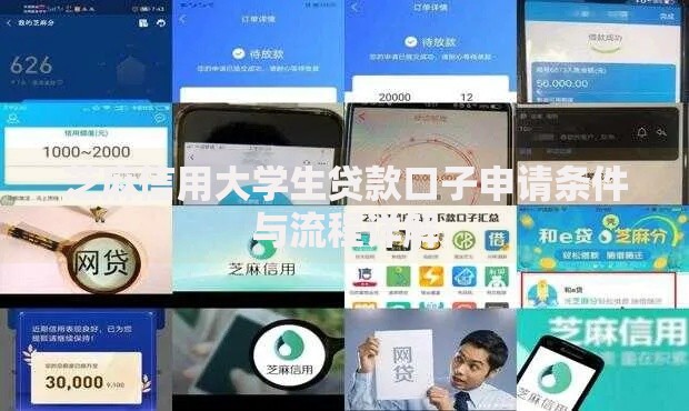 芝麻信用大学生贷款口子申请条件与流程详解