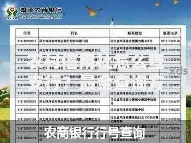 农村信用社怎么查支行？最全查询方法汇总