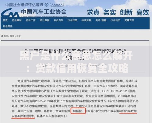黑户是什么意思怎么解开：贷款信用恢复全攻略