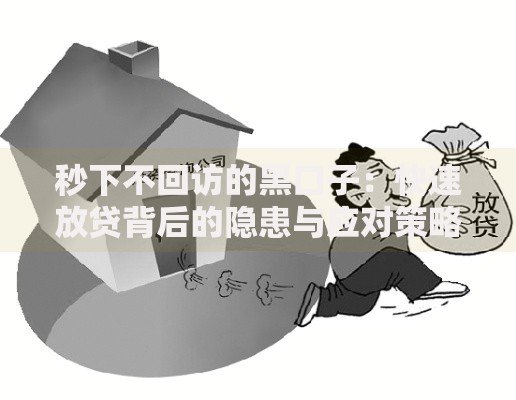 秒下不回访的黑口子：快速放贷背后的隐患与应对策略