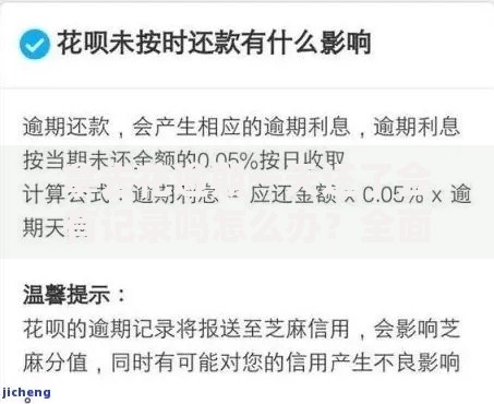 拿去花逾期一天还了会有记录吗怎么办？全面解析应对方案