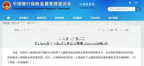 网贷跟信用卡逾期多久起诉？法律流程与应对策略