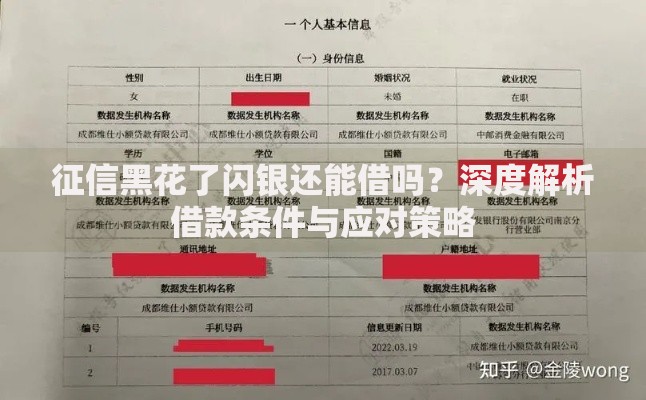 征信黑花了闪银还能借吗？深度解析借款条件与应对策略