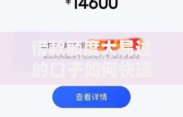 借款额度大易过的口子如何快速通过审核