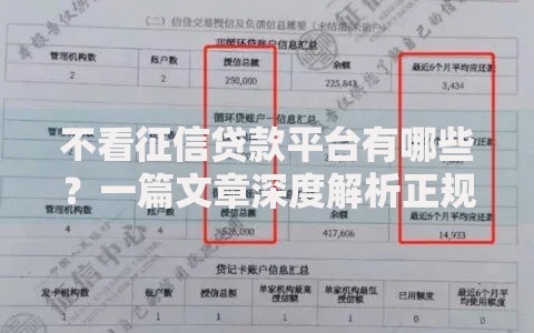 不看征信贷款平台有哪些？一篇文章深度解析正规渠道与风险防范