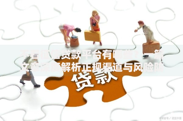 不看征信贷款平台有哪些？一篇文章深度解析正规渠道与风险防范