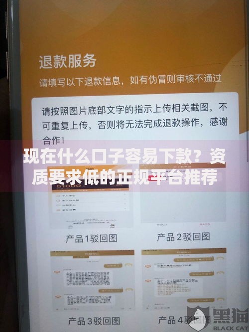 现在什么口子容易下款？资质要求低的正规平台推荐