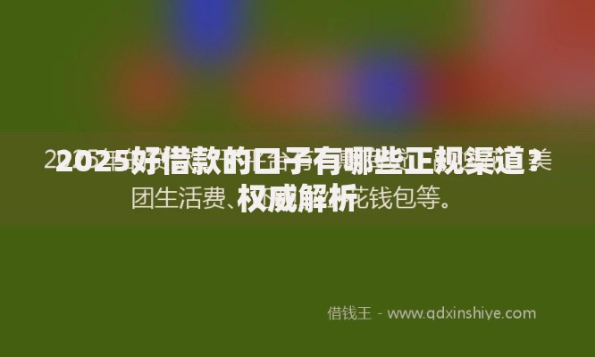 2025好借款的口子有哪些正规渠道？权威解析