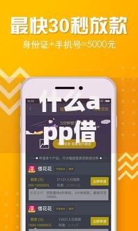 什么app借钱不看征信不看逾期？审核宽松平台解析