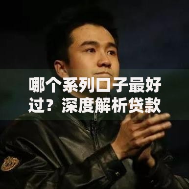 哪个系列口子最好过？深度解析贷款渠道选择策略