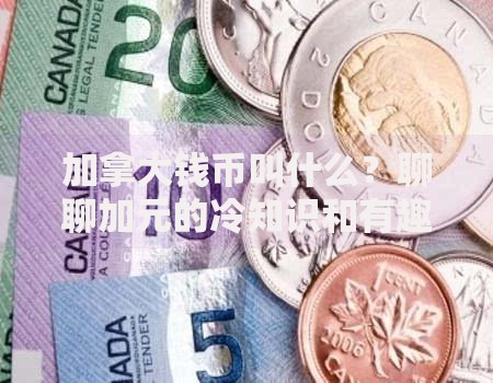 加拿大钱币叫什么？聊聊加元的冷知识和有趣设计