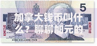 加拿大钱币叫什么？聊聊加元的冷知识和有趣设计