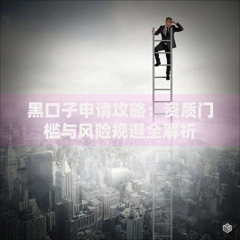 黑口子申请攻略：资质门槛与风险规避全解析