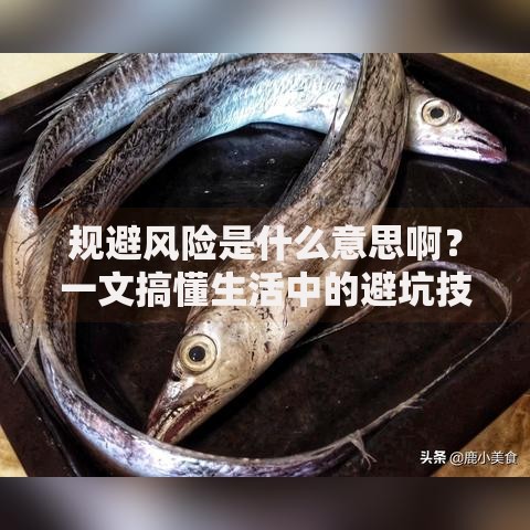 规避风险是什么意思啊？一文搞懂生活中的避坑技巧