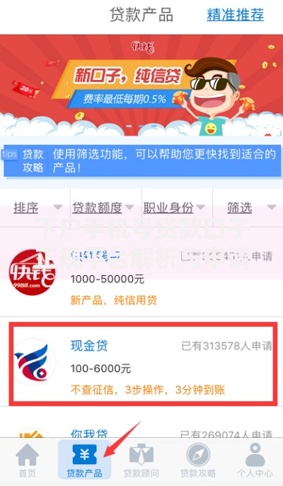 下户手机号贷款口子正规平台解析与申请指南