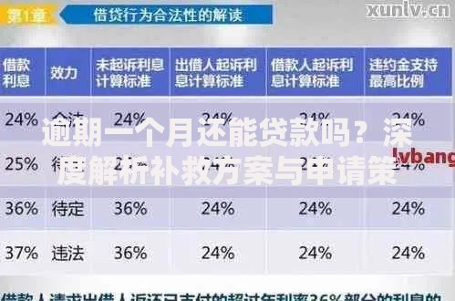 逾期一个月还能贷款吗？深度解析补救方案与申请策略