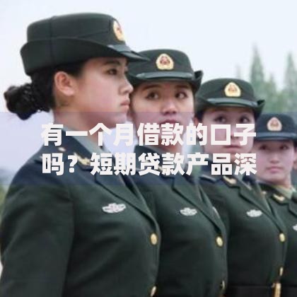 有一个月借款的口子吗？短期贷款产品深度解析