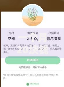 一个月20块钱怎么花？超实用省钱攻略与理财妙招分享