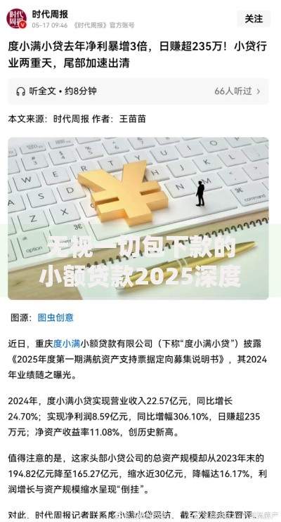 无视一切包下款的小额贷款2025深度解析