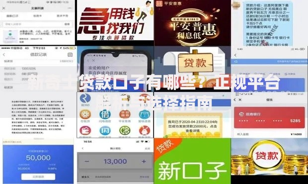 新奇士贷款口子有哪些？正规平台解析与选择指南