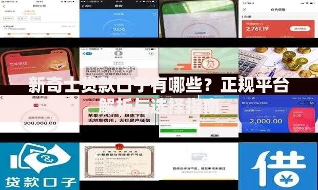 新奇士贷款口子有哪些？正规平台解析与选择指南