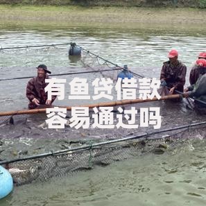 有鱼贷借款容易通过吗？解析申请条件与审批流程