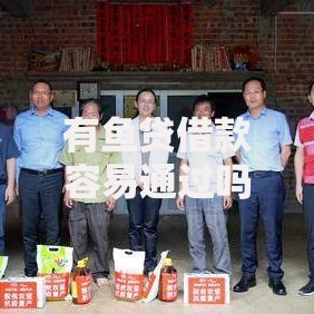 有鱼贷借款容易通过吗？解析申请条件与审批流程