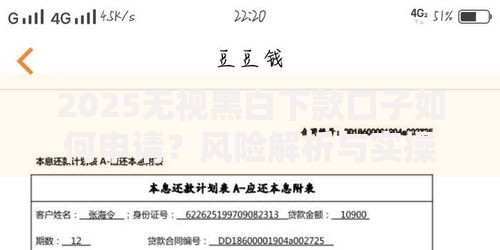 2025无视黑白下款口子如何申请？风险解析与实操指南
