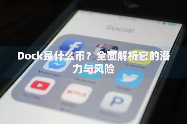Dock是什么币？全面解析它的潜力与风险