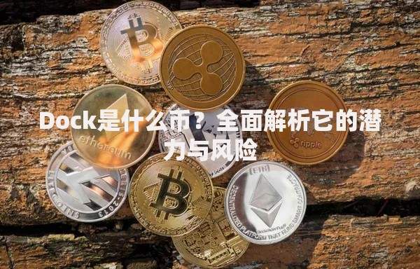 Dock是什么币？全面解析它的潜力与风险